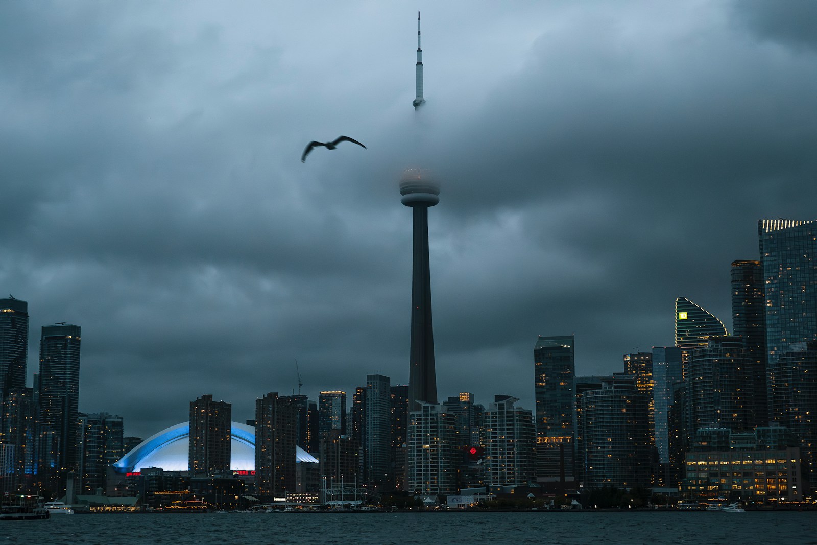 Toronto waterfront skyline with the CN Tower at dusk
